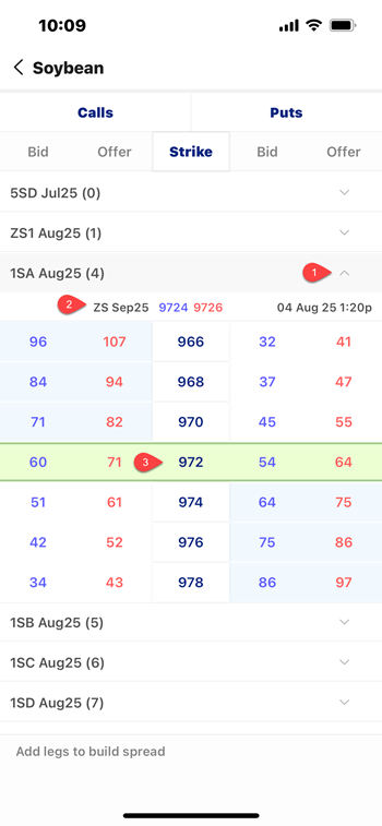 option_sheet_display.png option_sheet_display.png